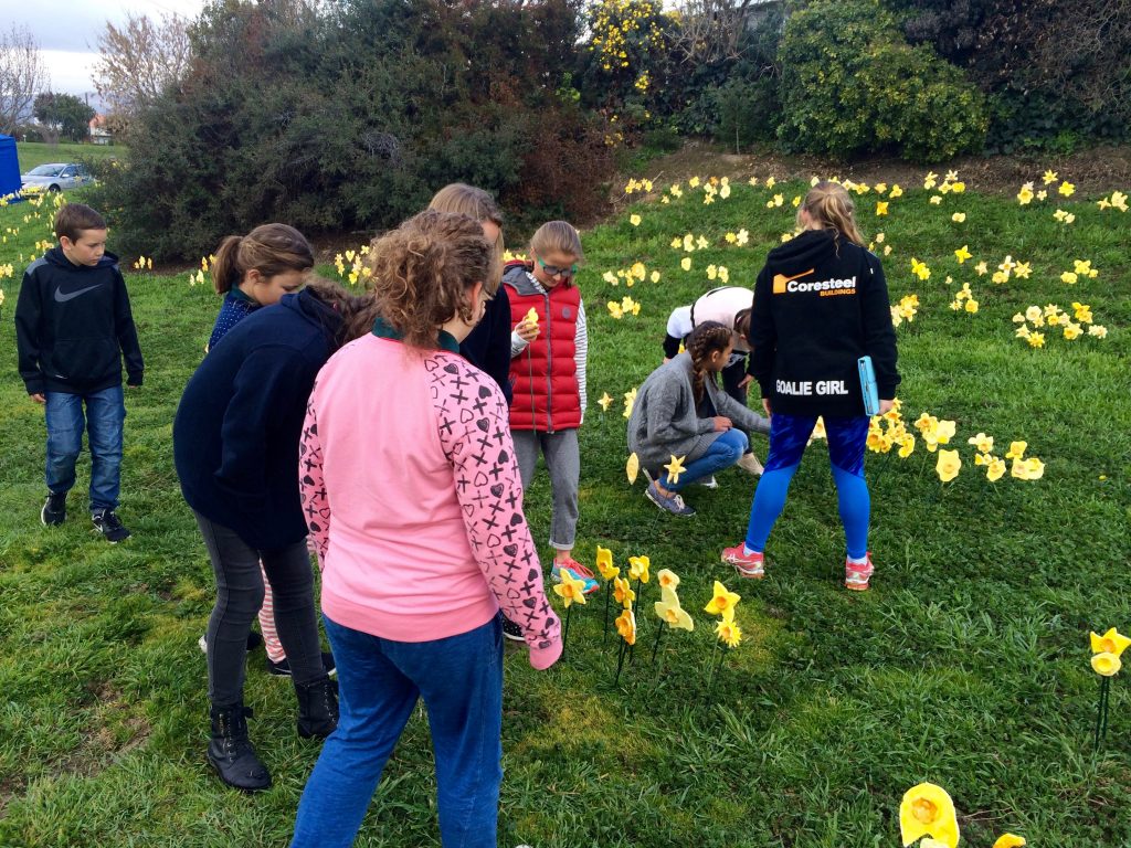 Selecting daffodils for school.